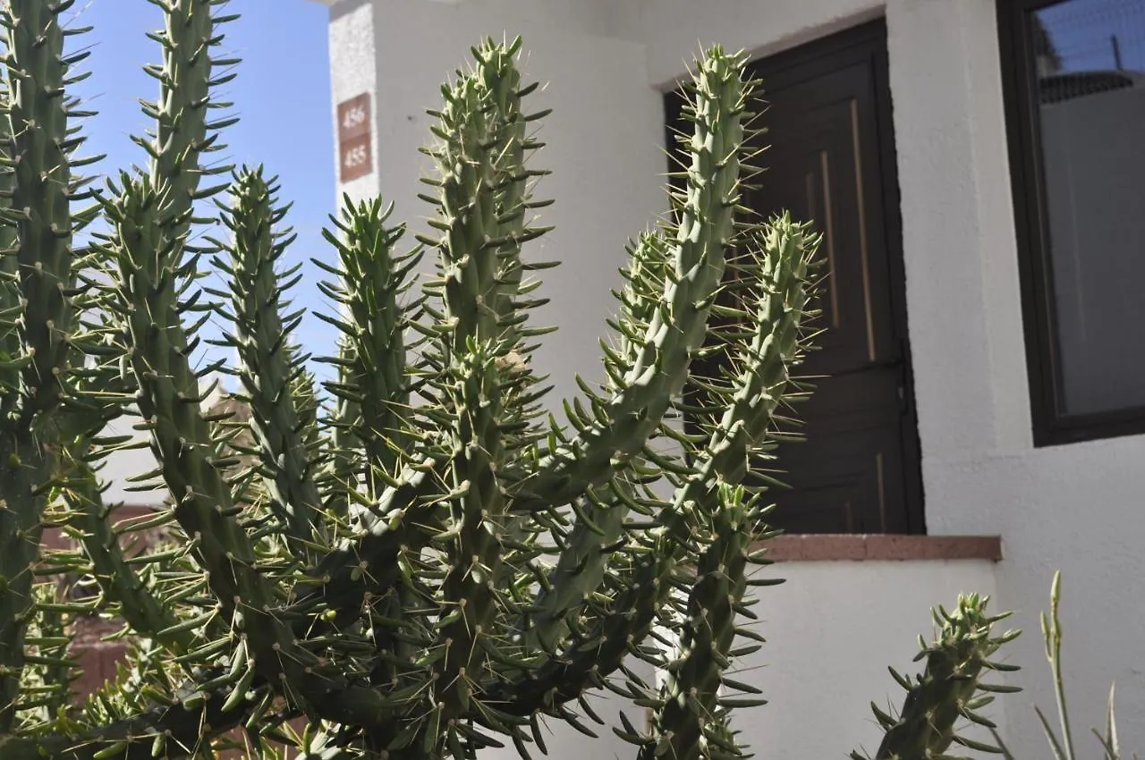 شقة أذيخي Sea View Villas Canarias
